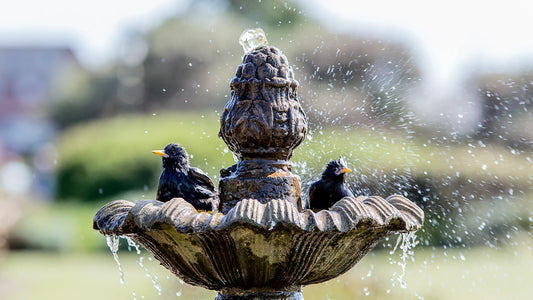 Outdoor Fountain Trends What’s Popular This Year