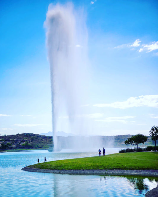 Why Water Flow Matters in Fountains and Bird Baths