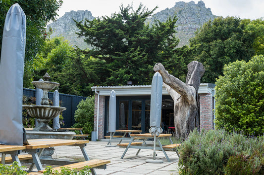 The Perfect Plants to Pair with Outdoor Fountains