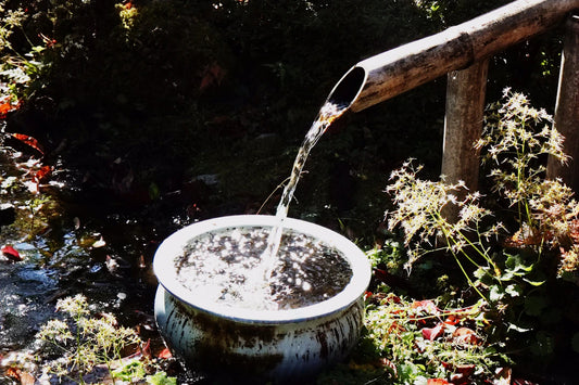 Celebrating Nature The Connection Between Fountains and Art