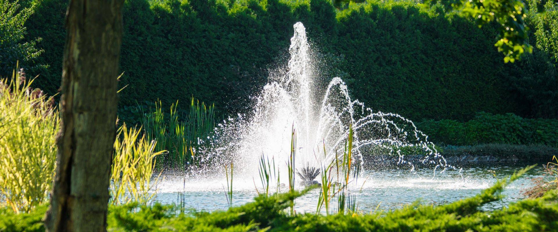 7-Considerations-In-Choosing-a-Pond-Fountain FountainsUSA