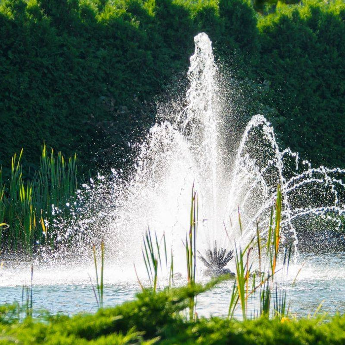 7-Considerations-In-Choosing-a-Pond-Fountain FountainsUSA