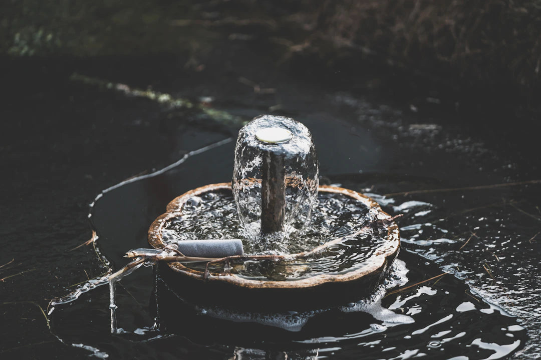The Importance of Water Quality for Your Outdoor Fountain