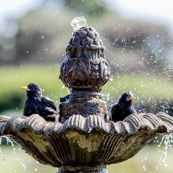 Outdoor Fountain Trends What’s Popular This Year