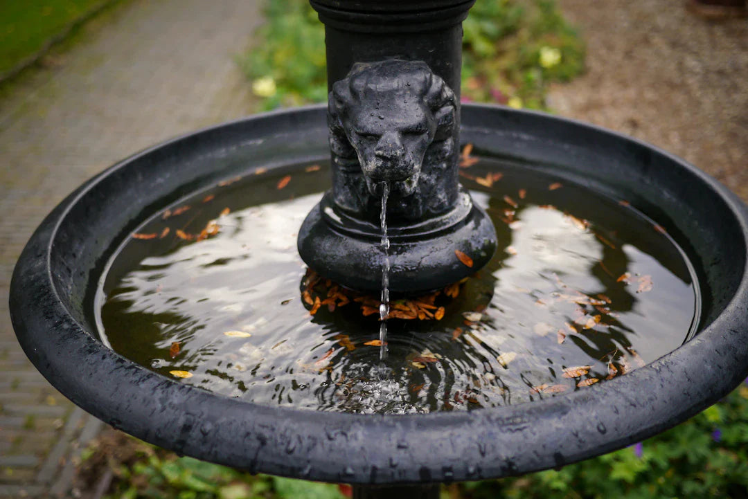 Unveiling the Cultural Symbolism of Fountains in Gardens