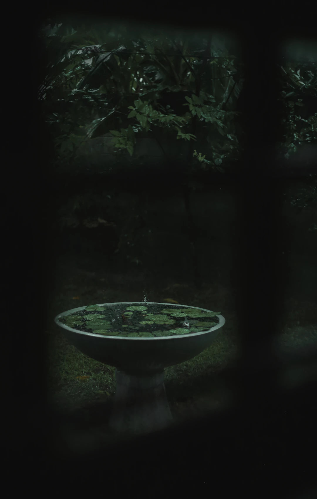Elegant Glass Bird Baths for Enchanting Outdoor Spaces