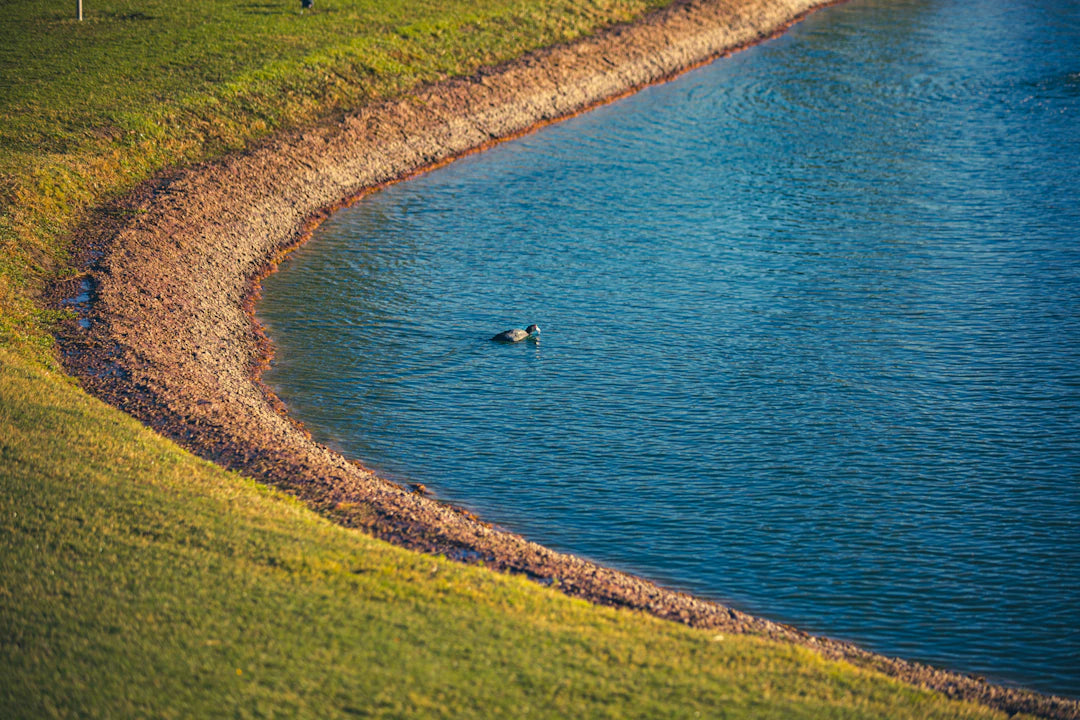 Transform Your Yard Budget-Friendly Tips for Installing Outdoor Water Features