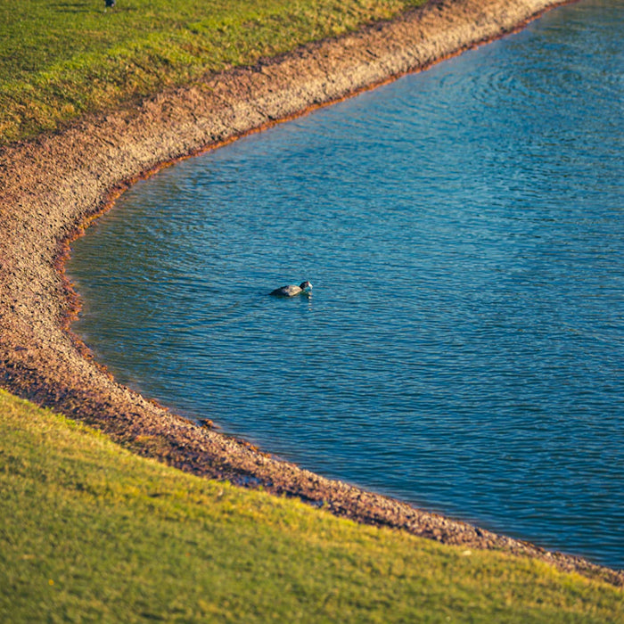 Transform Your Yard Budget-Friendly Tips for Installing Outdoor Water Features