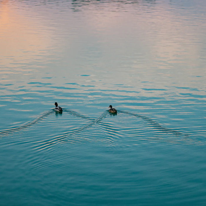 The Role of Outdoor Fountains in Wildlife Conservation