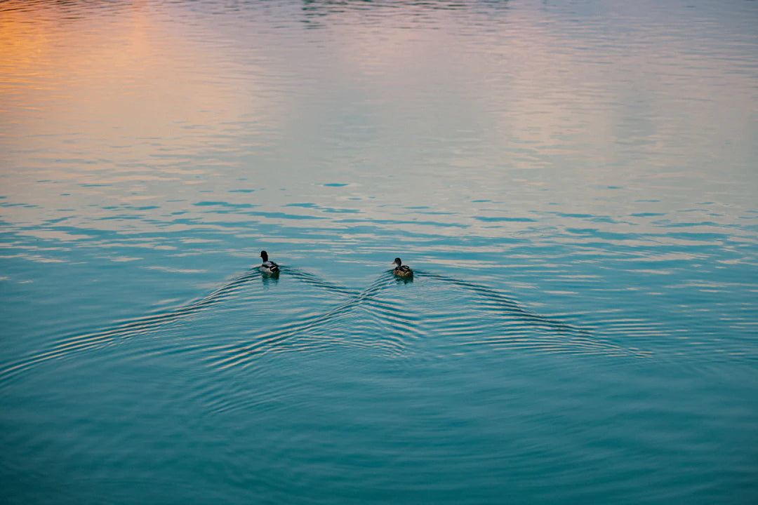 Enhancing Nature with Outdoor Fountains A Wildlife Haven