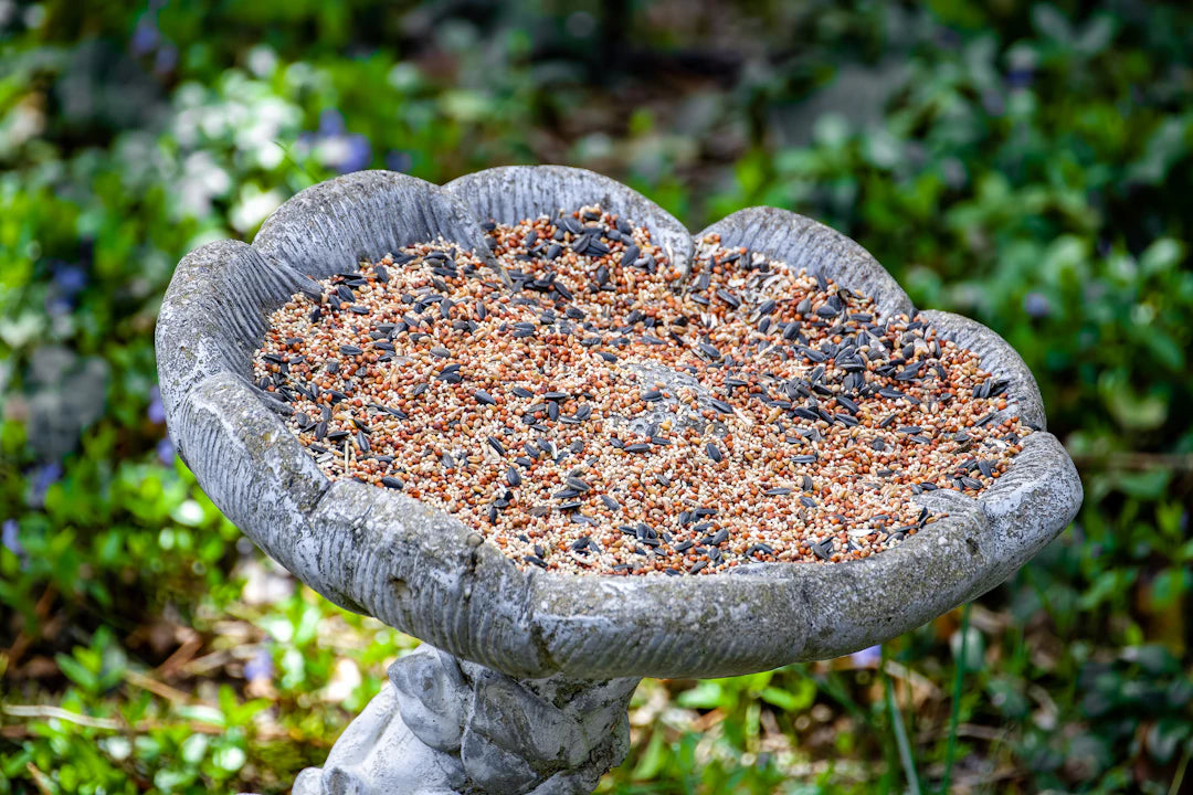 Charming Ceramic and Concrete Birdbath Fountains for Gardens