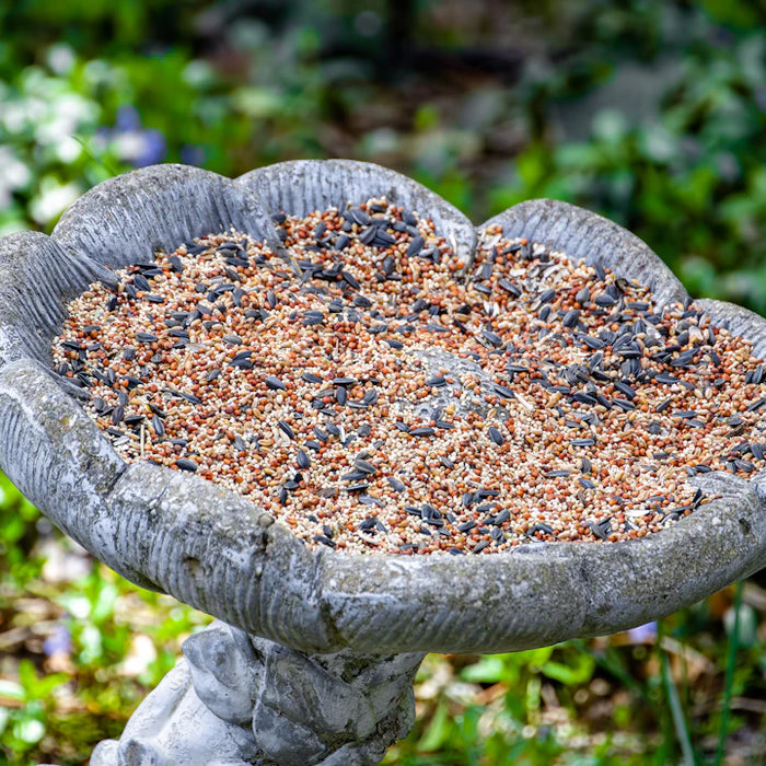 Charming Ceramic and Concrete Birdbath Fountains for Gardens
