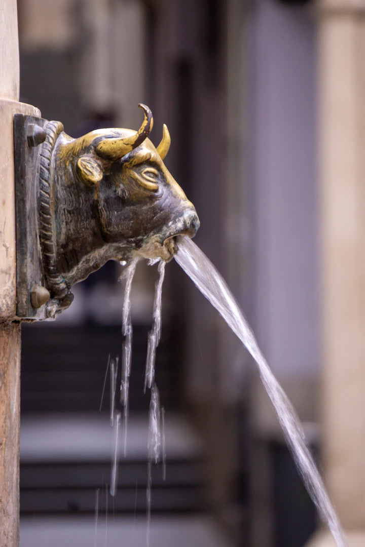 Enchanting Animal-Themed Outdoor Fountains for Your Garden