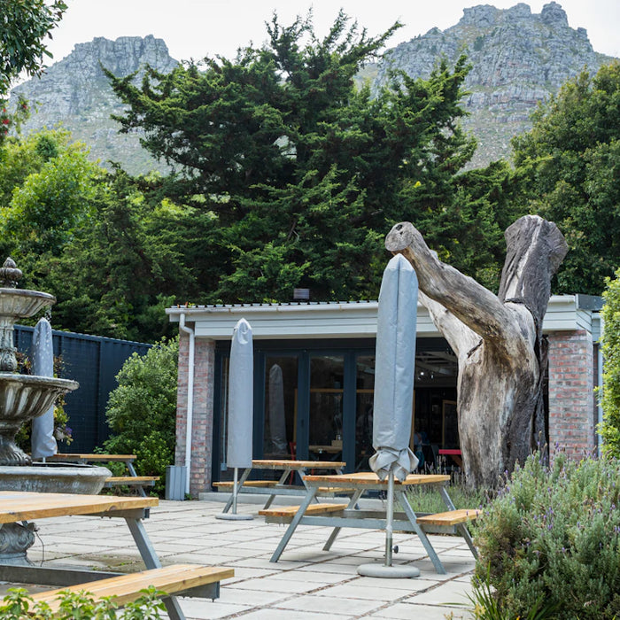 The Perfect Plants to Pair with Outdoor Fountains