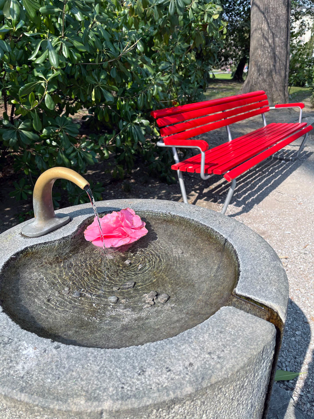 Essential Seasonal Care for Your Outdoor Fountain