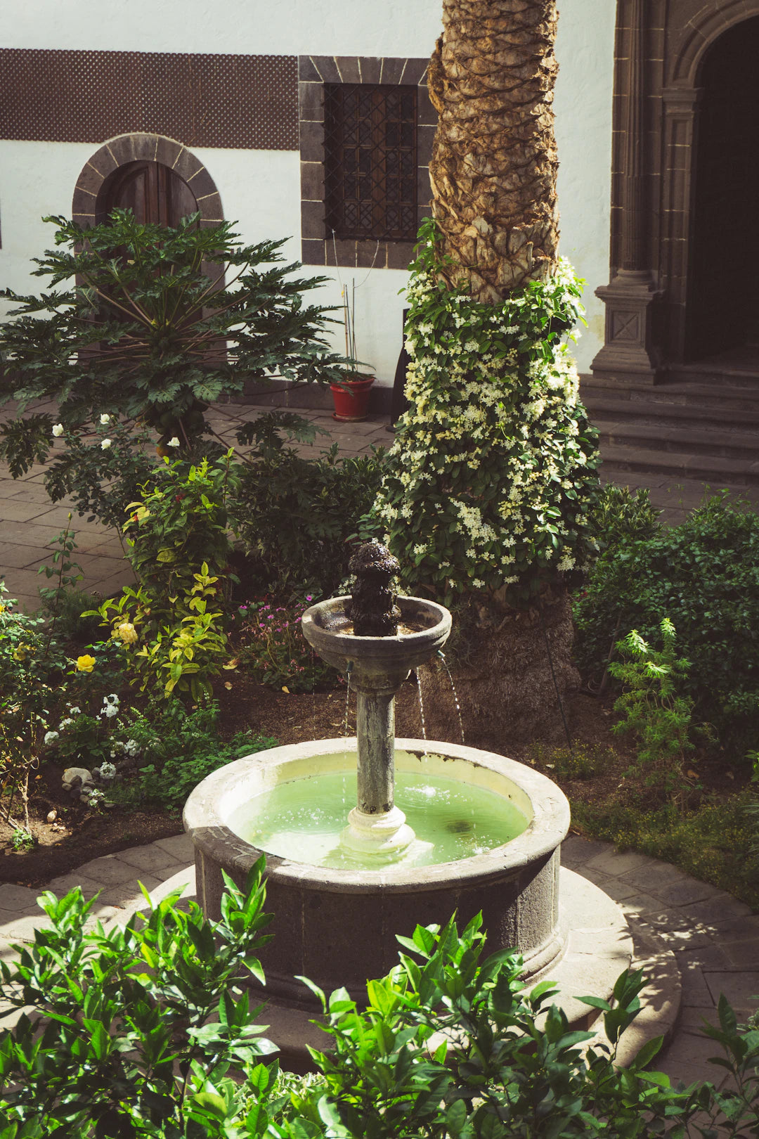 Eco-Friendly Solar Fountains for Serene Outdoor Spaces
