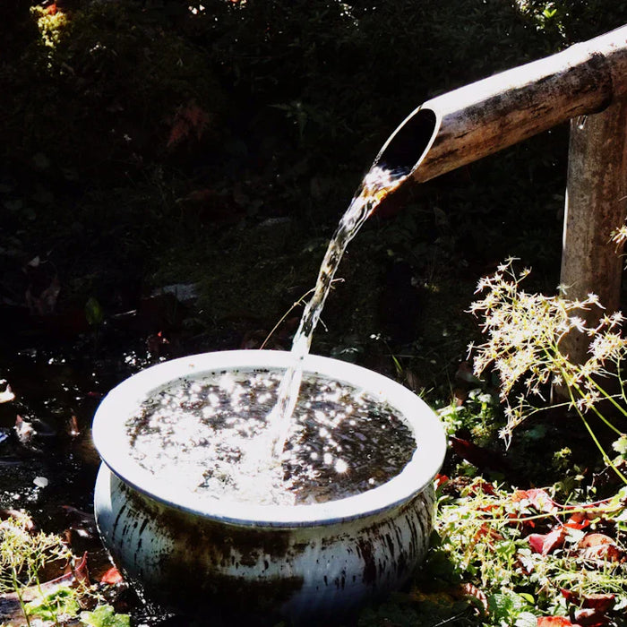 Celebrating Nature The Connection Between Fountains and Art