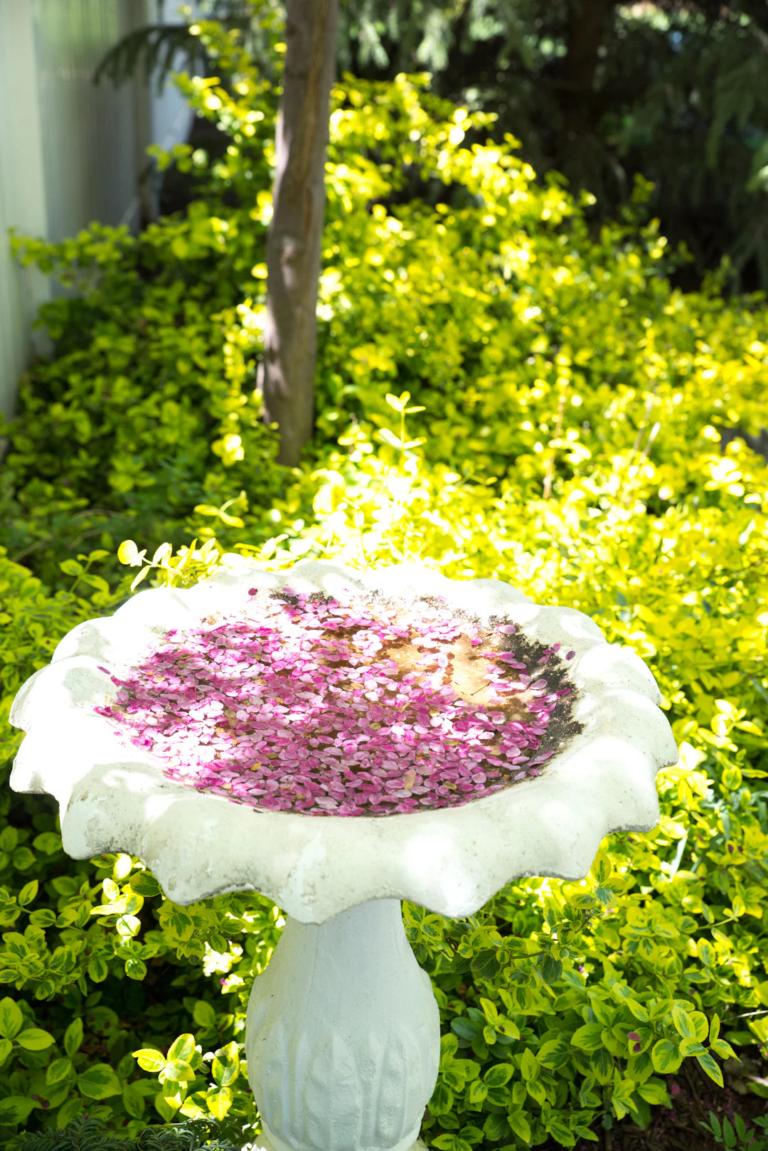 Durable Reinforced Concrete Bird Baths for Your Garden