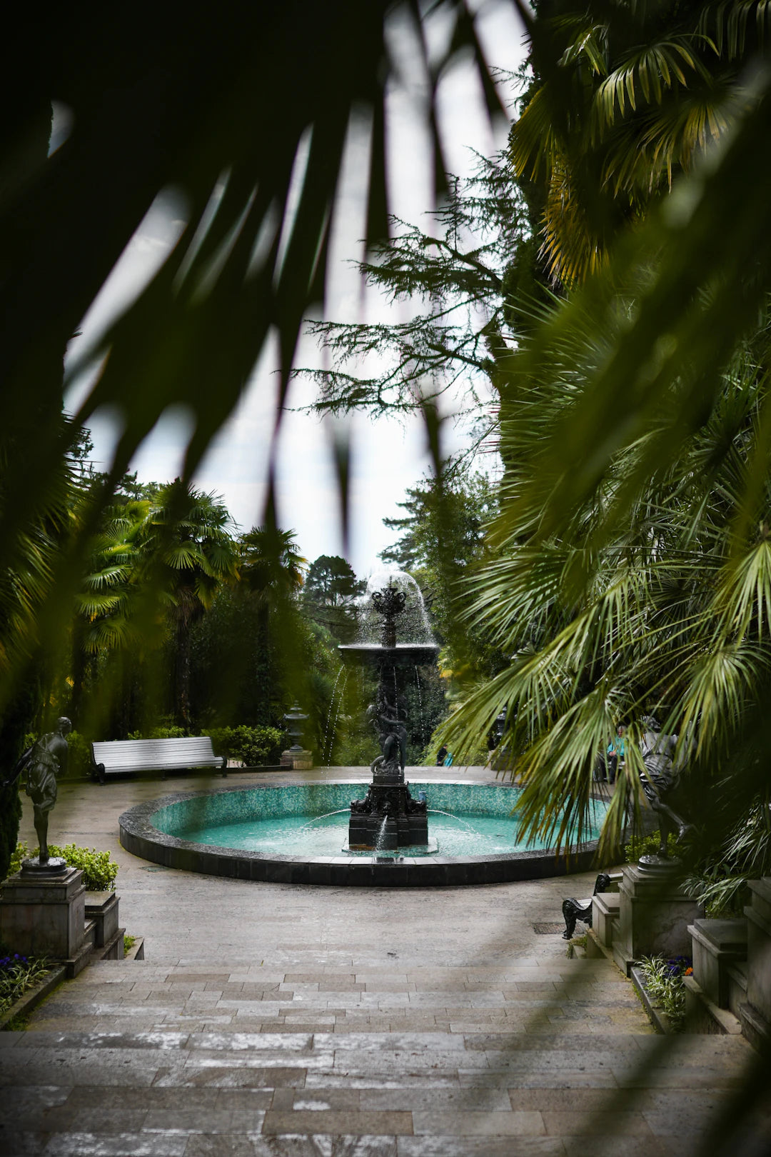 The Best Plants to Complement Your Outdoor Fountain  Fountains USA