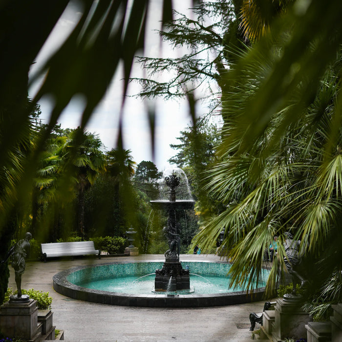 The Best Plants to Complement Your Outdoor Fountain