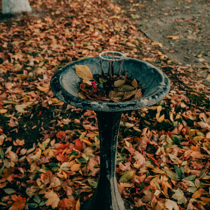 The Aesthetic Value of Fountains in Outdoor Spaces