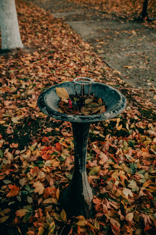 Creative DIY Outdoor Fountain Ideas for Your Garden