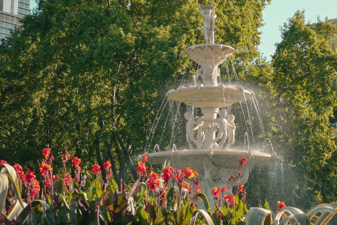 Enhance Your Oasis Adding Plants Around Your Fountain