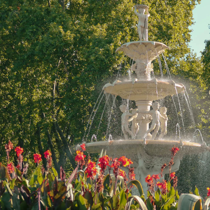 Enhance Your Oasis Adding Plants Around Your Fountain