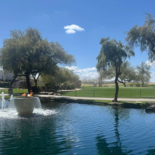 Harmonizing Outdoor Fountains with Other Water Features