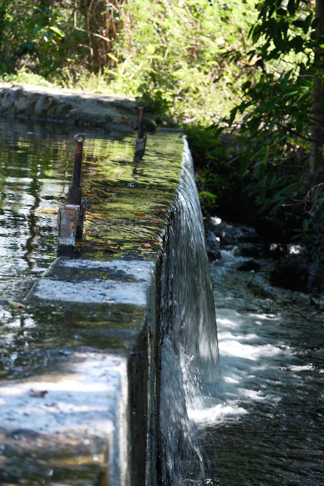 Elegant Outdoor Scuppers for Effortless Water Flow