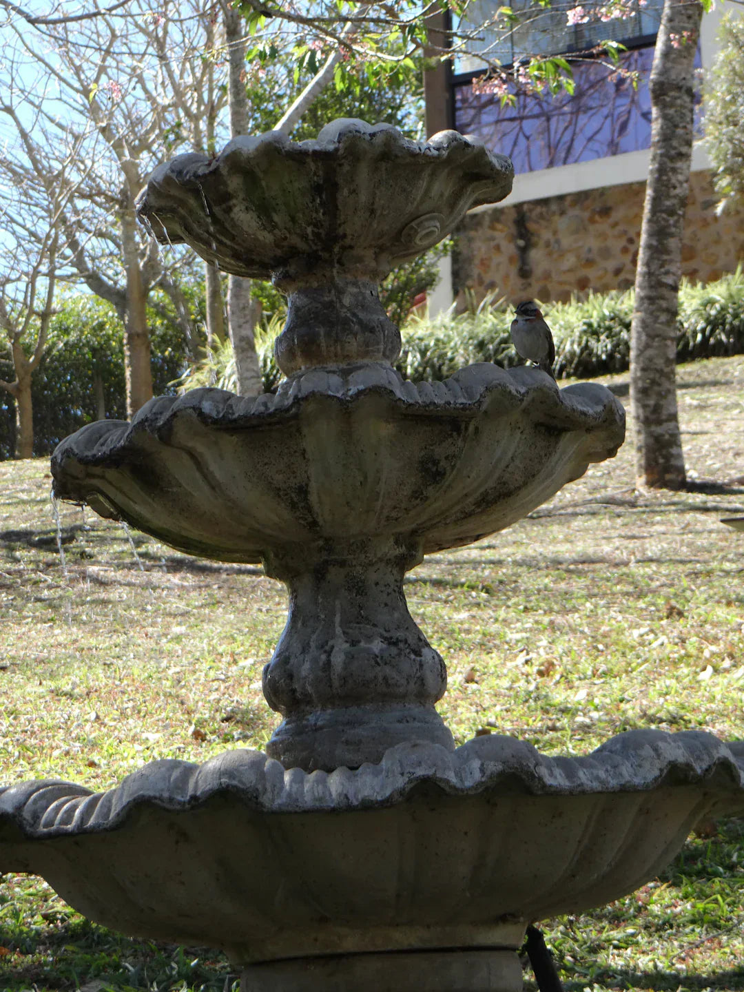 Elegant Concrete Fountains to Enhance Your Outdoor Oasis