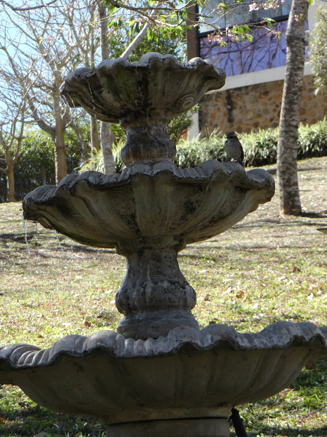 Elegant Concrete Fountains to Enhance Your Outdoor Oasis