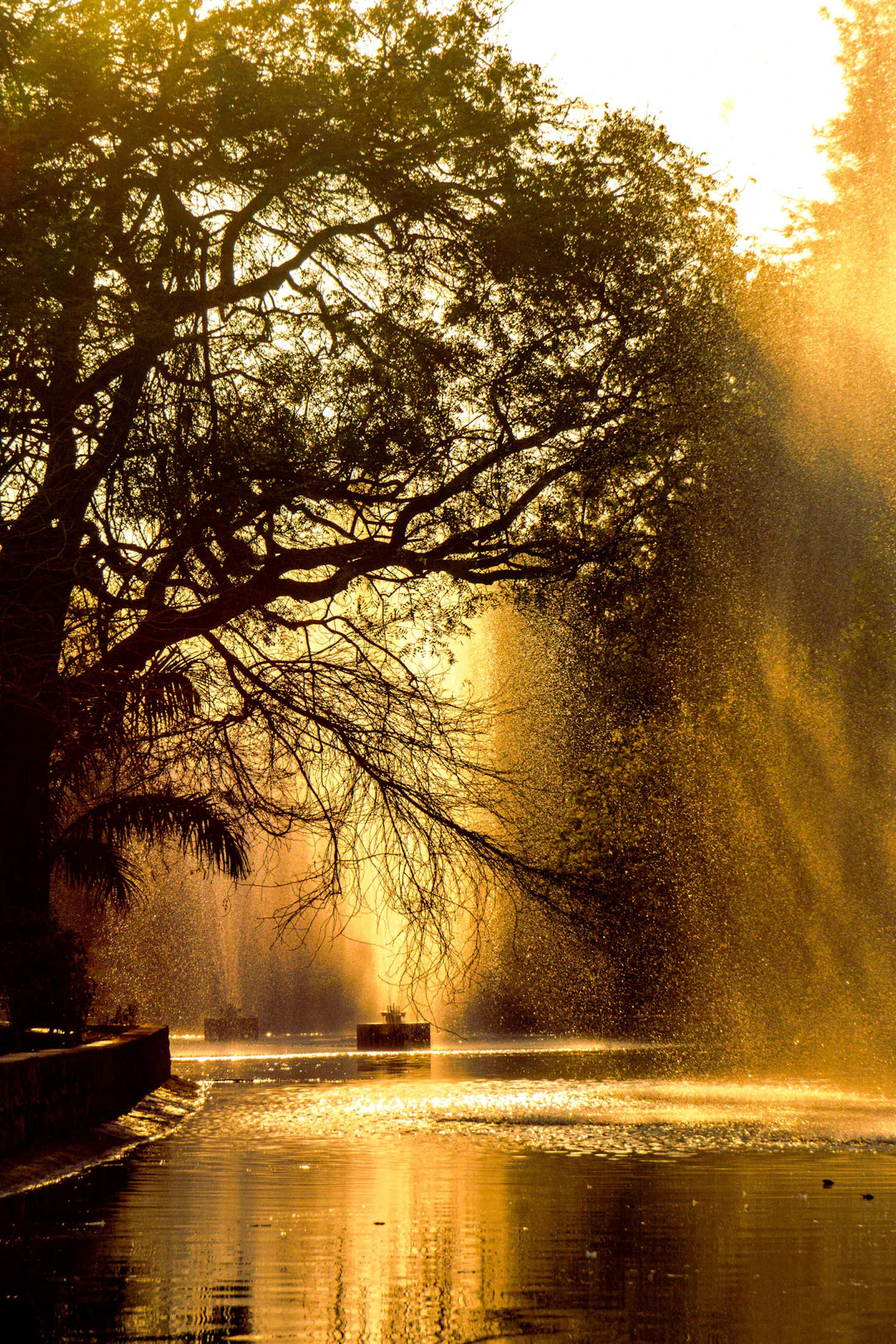 Enhance Your Outdoors with Solar-Powered Fountains
