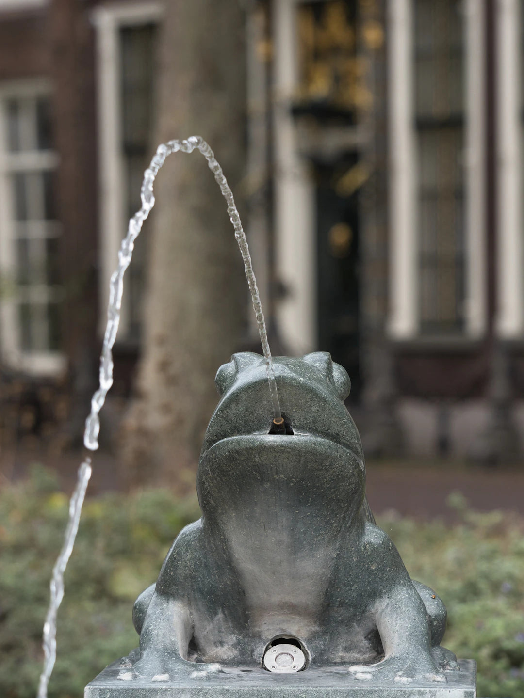 DIY Outdoor Fountain Projects for the Creative Gardener