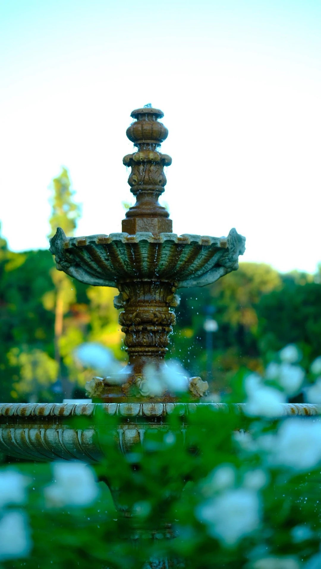 Enhance Your Outdoor Fountains with Decorative Spouts