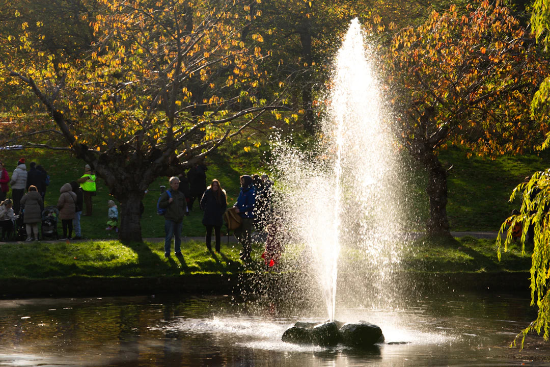The Role of Fountains in Wildlife Habitat Creation