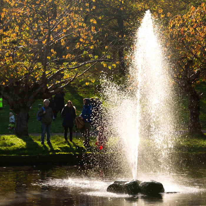 The Role of Fountains in Wildlife Habitat Creation