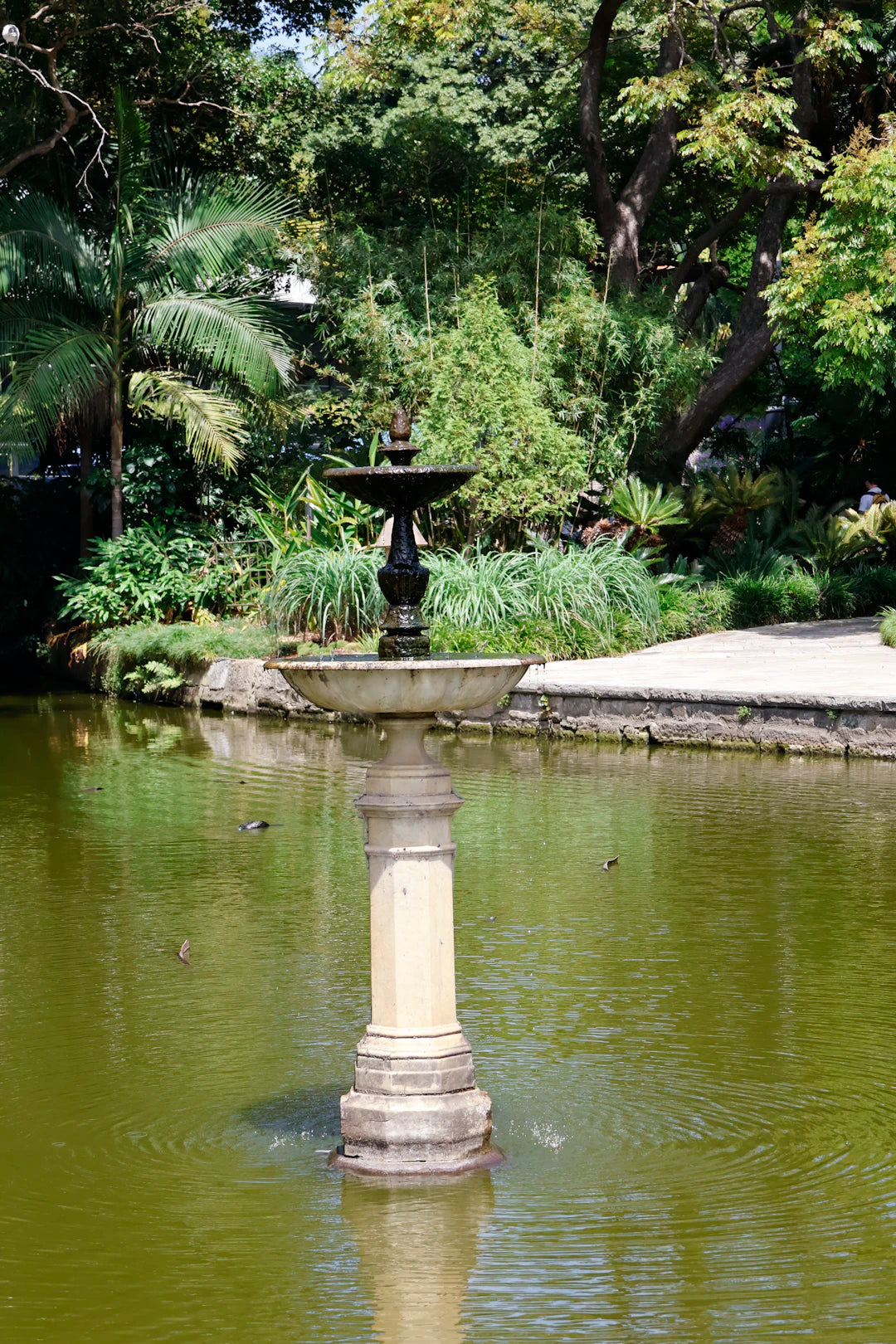 Enchanting Pond Fountains for a Serene Outdoor Escape