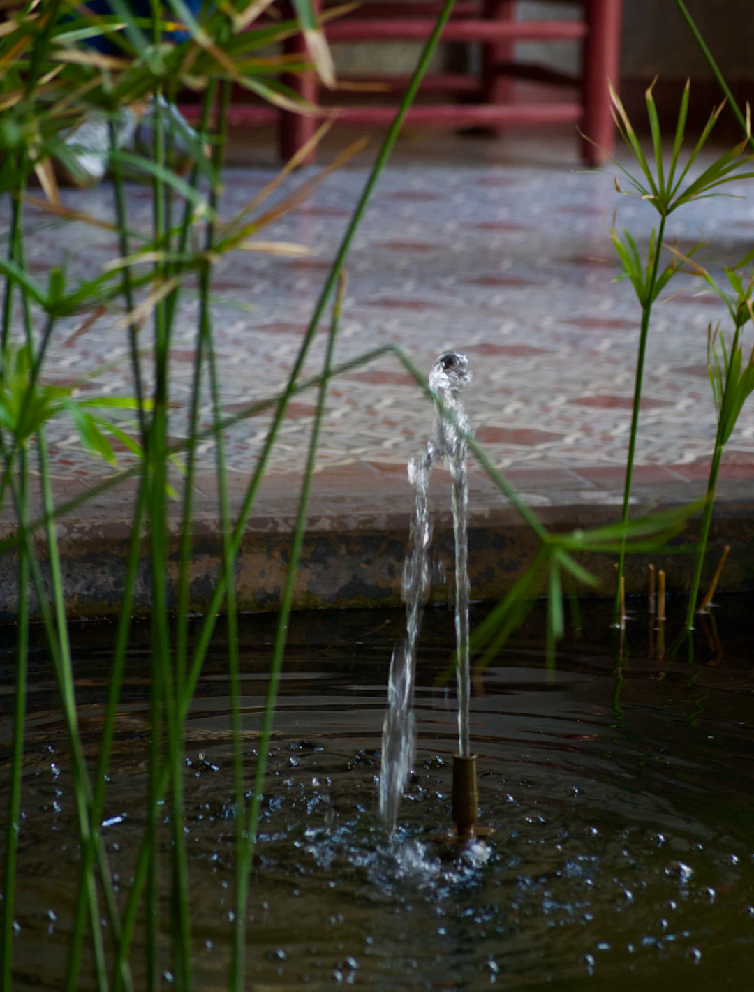 Eco-Friendly Water Features Sustainable Fountain Options