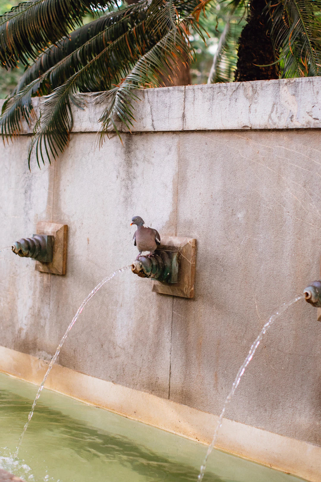 Charming Animal Fountains for Your Outdoor Oasis