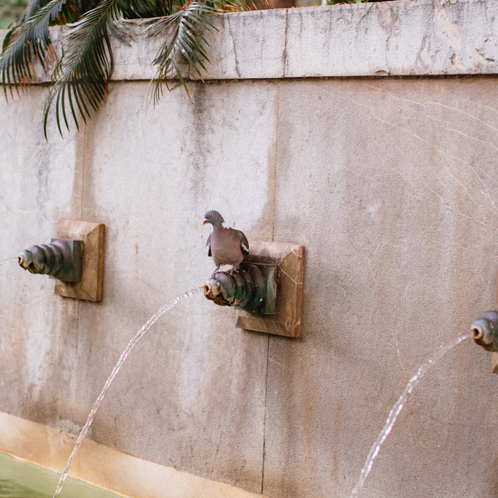 Charming Animal Fountains for Your Outdoor Oasis
