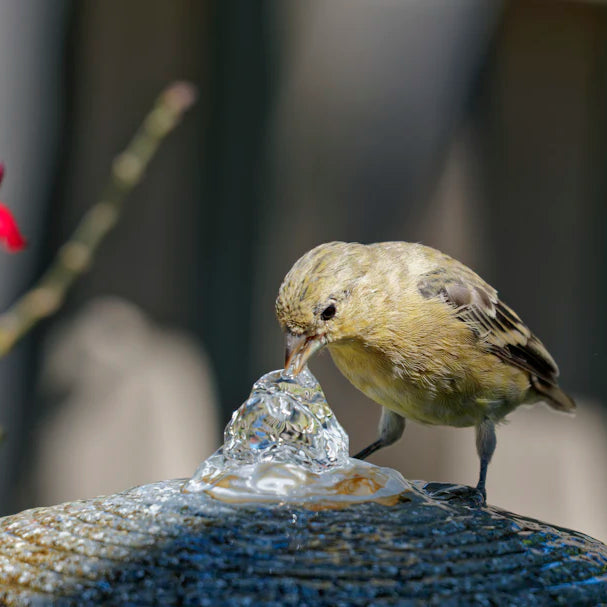 Eco-Friendly Solar Powered Bird Bath Fountains for Gardens