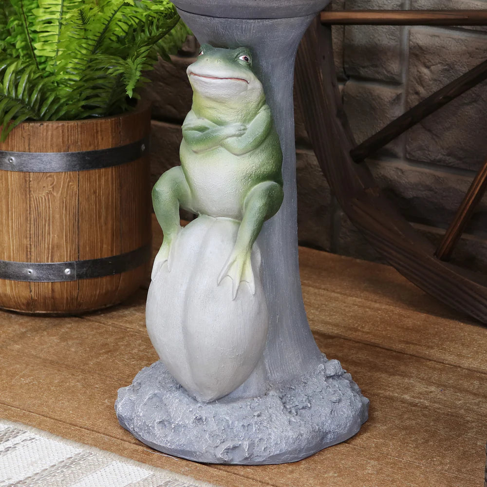 Sunnydaze Polyresin Brooding Frog on Stone Outdoor Garden Bird Bath WNC-796
