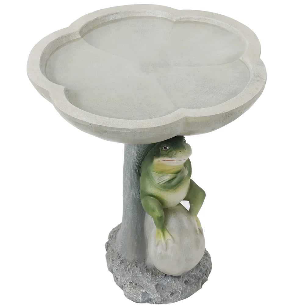 Sunnydaze Polyresin Brooding Frog on Stone Outdoor Garden Bird Bath WNC-796