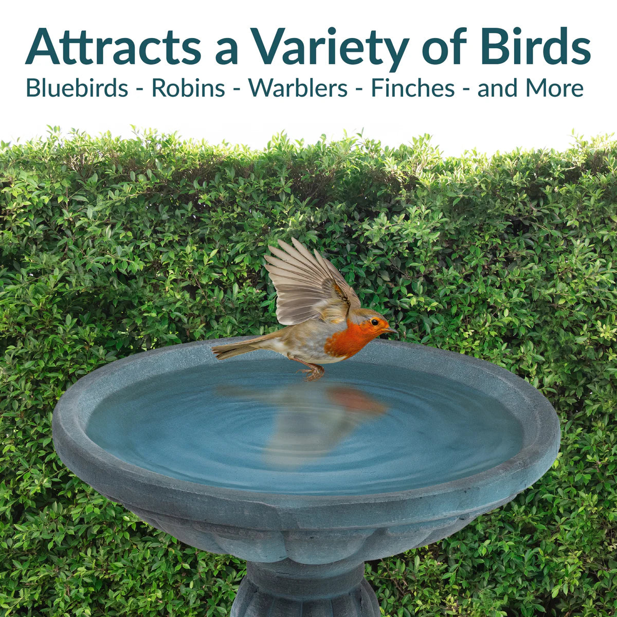 Sunnydaze Grecian Garden 20.25" H Reinforced Concrete Bird Bath