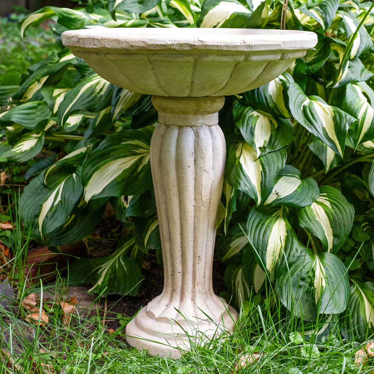 Sunnydaze Grecian Garden 20.25" H Reinforced Concrete Bird Bath