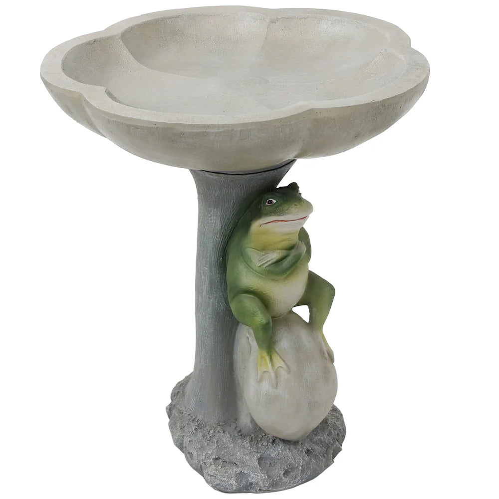 Sunnydaze Polyresin Brooding Frog on Stone Outdoor Garden Bird Bath WNC-796