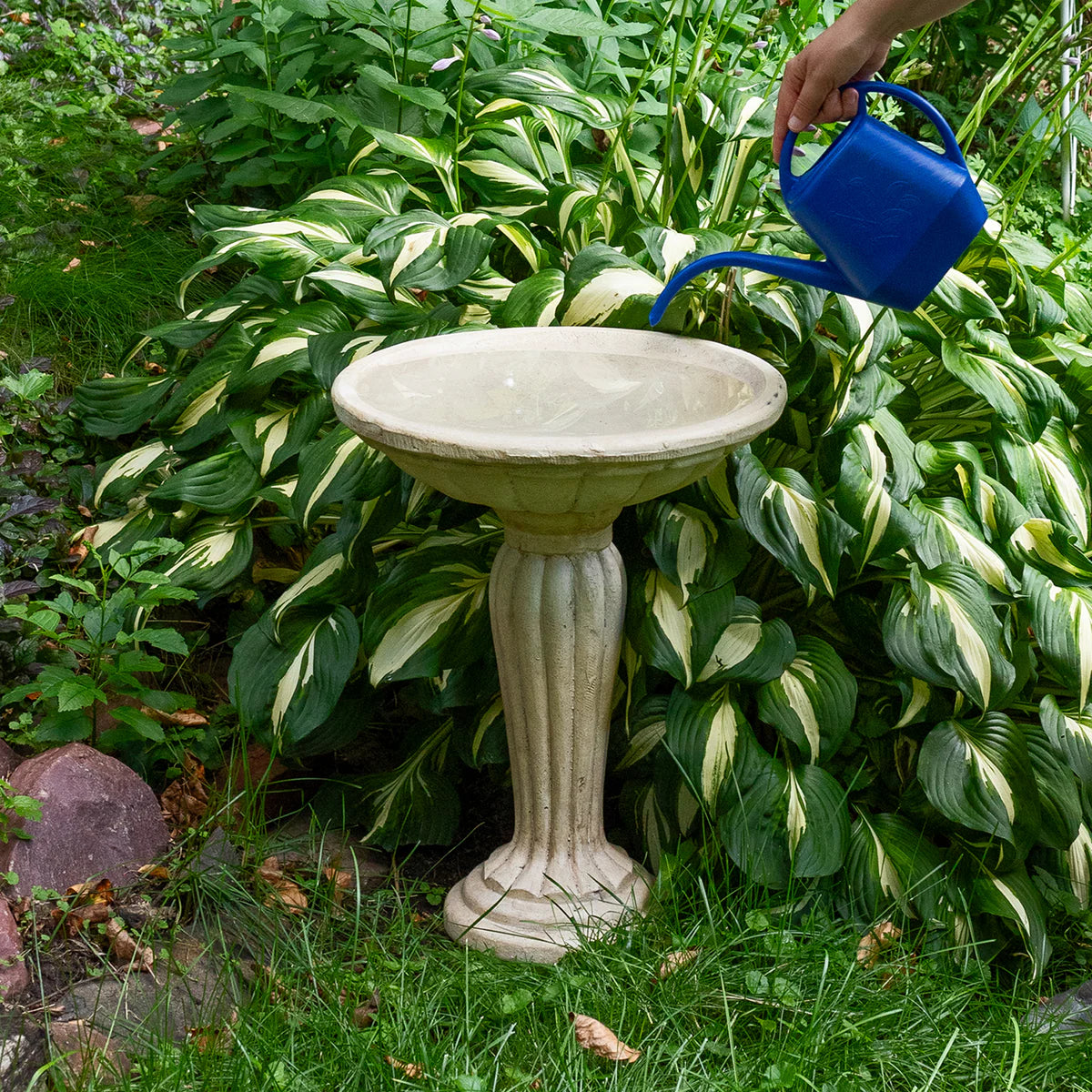 Sunnydaze Grecian Garden 20.25" H Reinforced Concrete Bird Bath