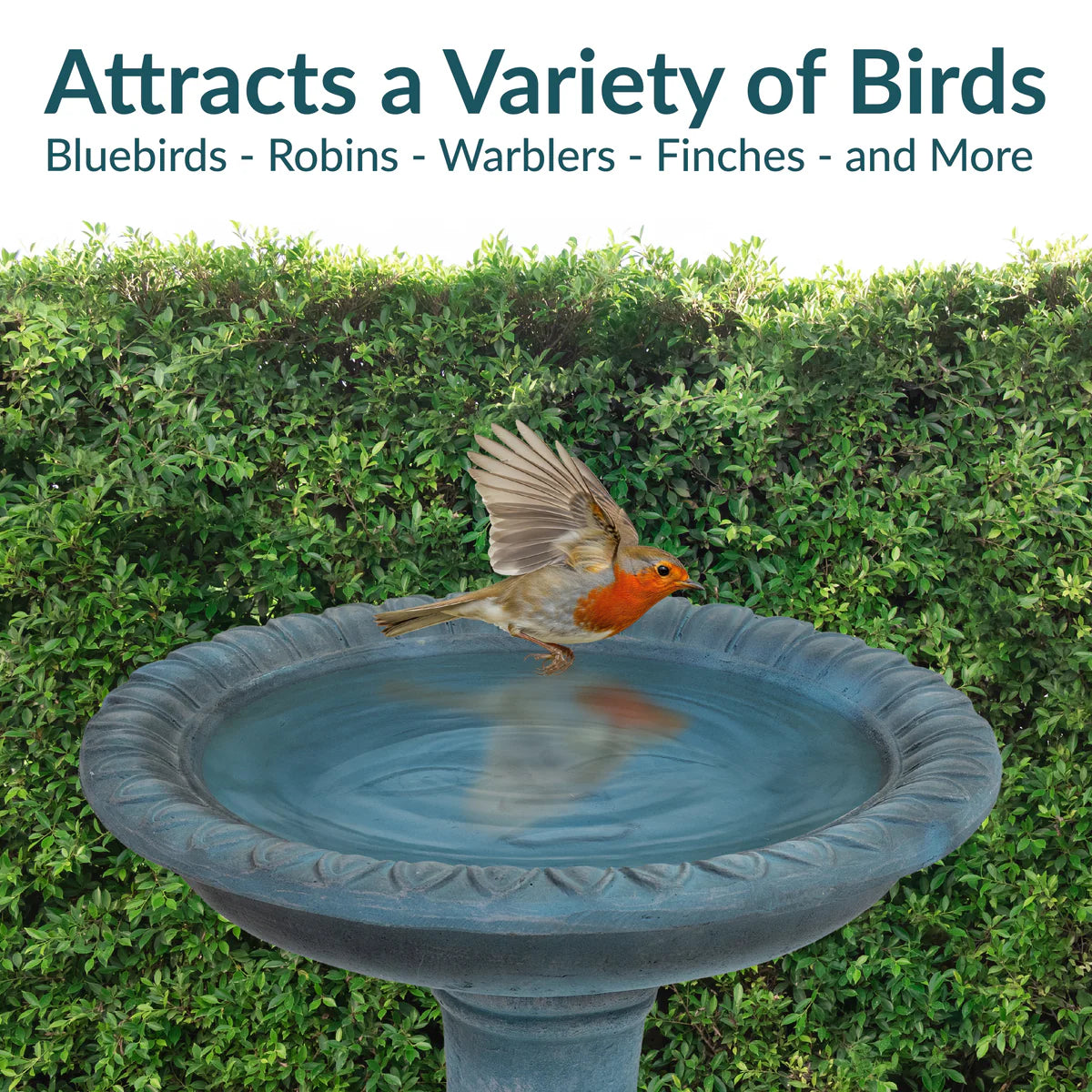 Sunnydaze Façade du Soleil 26" Reinforced Concrete Bird Bath