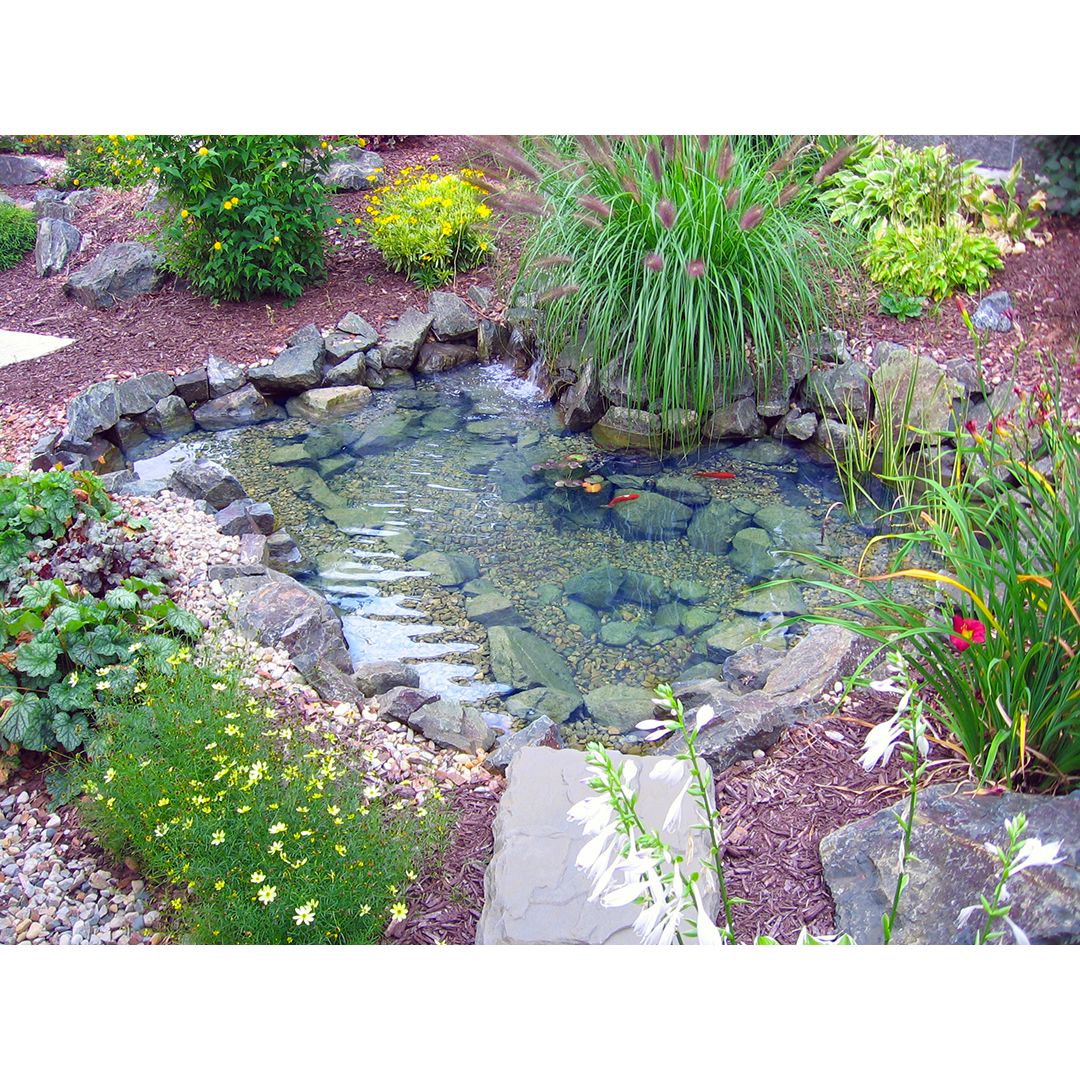 Easy Pro Pond Pro-Series Mini Pond Kit – Complete Kit for 8′ X 11′ Pond ET811FB